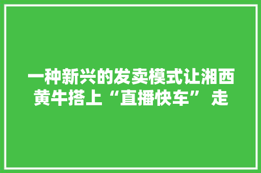 一种新兴的发卖模式让湘西黄牛搭上“直播快车” 走向全国 一种新兴的发卖模式让湘西黄牛搭上“直播快车” 走向全国 智能科技