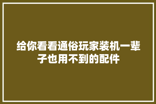 给你看看通俗玩家装机一辈子也用不到的配件
