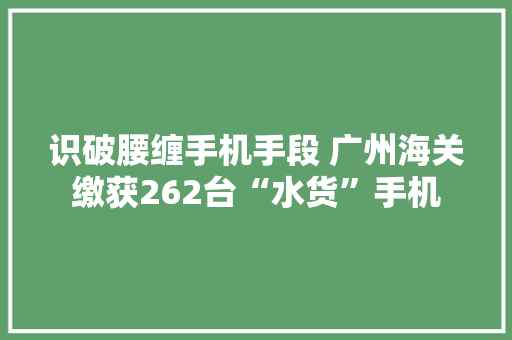 识破腰缠手机手段 广州海关缴获262台“水货”手机