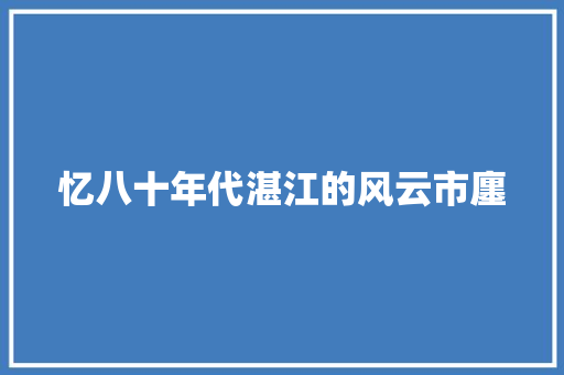忆八十年代湛江的风云市廛