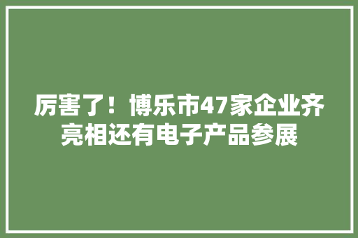 厉害了！博乐市47家企业齐亮相还有电子产品参展 厉害了！博乐市47家企业齐亮相还有电子产品参展 互联通信