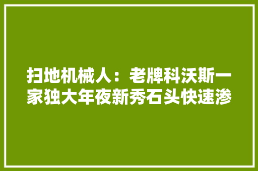 扫地机械人：老牌科沃斯一家独大年夜新秀石头快速渗透