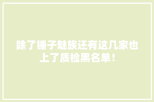 除了锤子魅族还有这几家也上了质检黑名单！