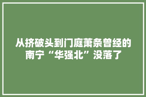 从挤破头到门庭萧条曾经的南宁“华强北”没落了