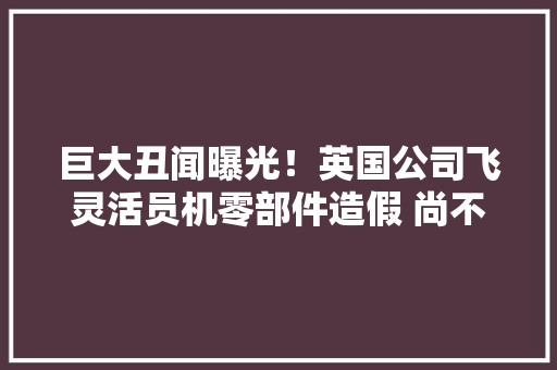 巨大丑闻曝光！英国公司飞灵活员机零部件造假 尚不清楚有若干架飞机受影响