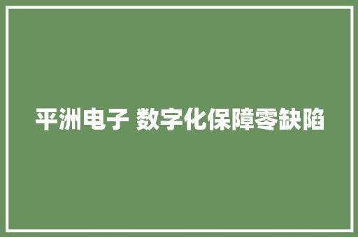 平洲电子 数字化保障零缺陷