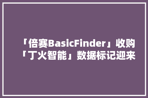 「倍赛BasicFinder」收购「丁火智能」数据标记迎来整合期？