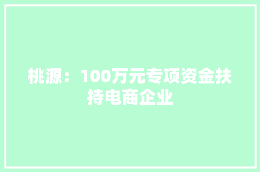 桃源：100万元专项资金扶持电商企业