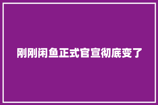 刚刚闲鱼正式官宣彻底变了