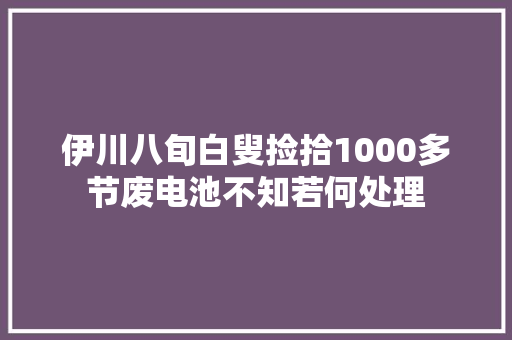 伊川八旬白叟捡拾1000多节废电池不知若何处理
