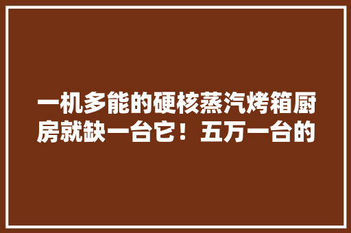 一机多能的硬核蒸汽烤箱厨房就缺一台它！五万一台的AEG 一机多能的硬核蒸汽烤箱厨房就缺一台它！五万一台的AEG 人工智能