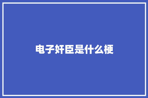 电子奸臣是什么梗