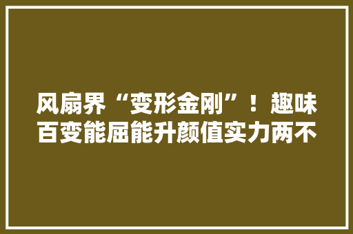 风扇界“变形金刚”！趣味百变能屈能升颜值实力两不误 风扇界“变形金刚”！趣味百变能屈能升颜值实力两不误 智能科技