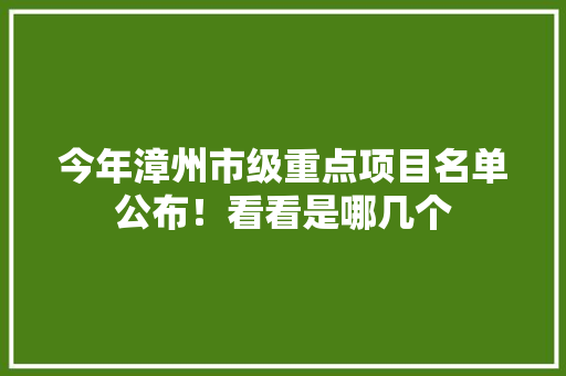 今年漳州市级重点项目名单公布！看看是哪几个 今年漳州市级重点项目名单公布！看看是哪几个 智能科技