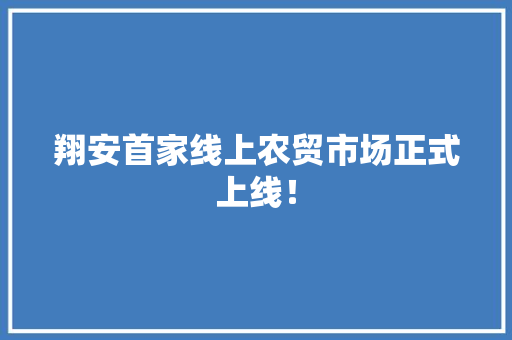 翔安首家线上农贸市场正式上线！ 翔安首家线上农贸市场正式上线！ 人工智能