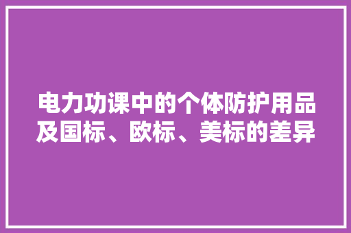 电力功课中的个体防护用品及国标、欧标、美标的差异