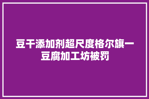 豆干添加剂超尺度格尔旗一豆腐加工坊被罚