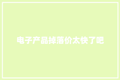 电子产品掉落价太快了吧