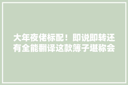 大年夜佬标配！即说即转还有全能翻译这款簿子堪称会议室吸睛神器
