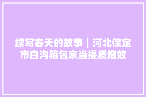 续写春天的故事｜河北保定市白沟箱包家当提质增效