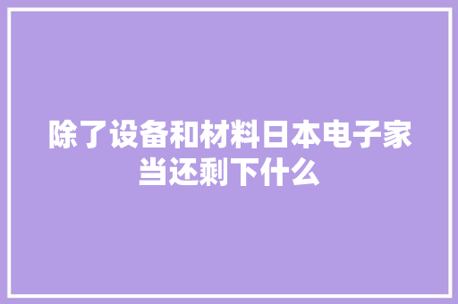 除了设备和材料日本电子家当还剩下什么 除了设备和材料日本电子家当还剩下什么 智能科技