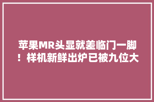 苹果MR头显就差临门一脚！样机新鲜出炉已被九位大年夜佬围不雅观