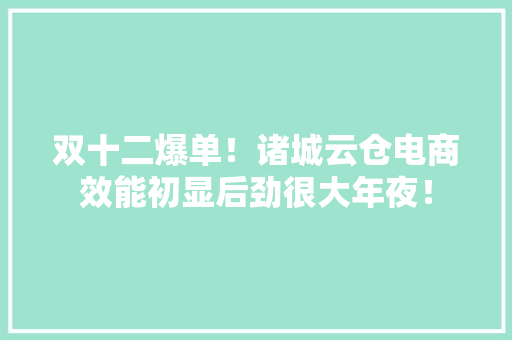 双十二爆单！诸城云仓电商效能初显后劲很大年夜！ 双十二爆单！诸城云仓电商效能初显后劲很大年夜！ 智能家居