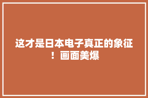 这才是日本电子真正的象征！画面美爆