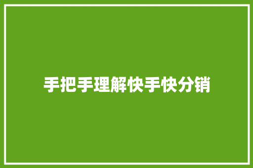手把手理解快手快分销