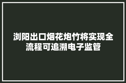 浏阳出口烟花炮竹将实现全流程可追溯电子监管 浏阳出口烟花炮竹将实现全流程可追溯电子监管 人工智能
