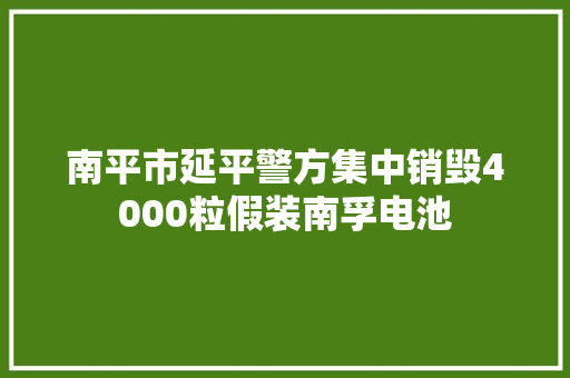 南平市延平警方集中销毁4000粒假装南孚电池