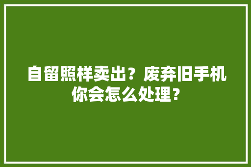 自留照样卖出？废弃旧手机你会怎么处理？