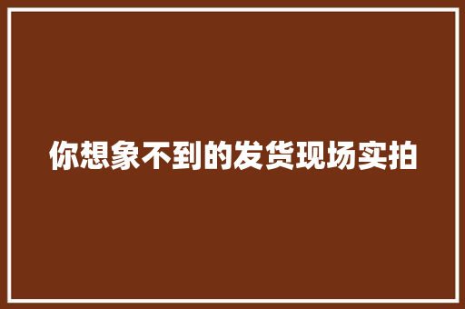 你想象不到的发货现场实拍