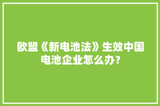 欧盟《新电池法》生效中国电池企业怎么办？