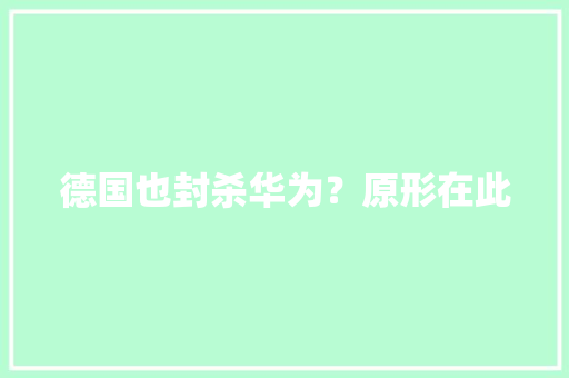 德国也封杀华为？原形在此