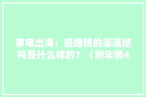家电出海：最赚钱的渠道结构是什么样的？（附年销40亿品牌案例）