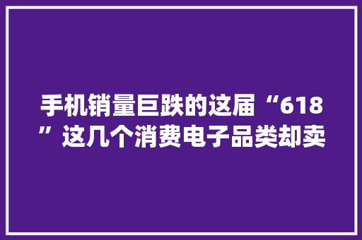 手机销量巨跌的这届“618”这几个消费电子品类却卖爆了 | 焦点分析