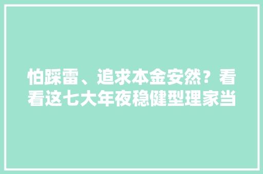 怕踩雷、追求本金安然？看看这七大年夜稳健型理家当品
