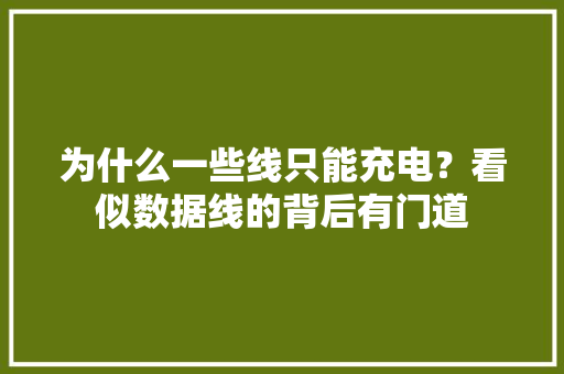 为什么一些线只能充电？看似数据线的背后有门道 为什么一些线只能充电？看似数据线的背后有门道 人工智能