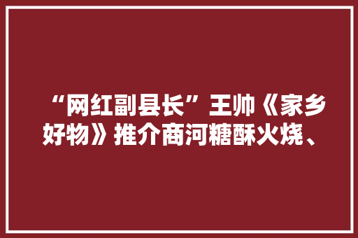 “网红副县长”王帅《家乡好物》推介商河糖酥火烧、老粗布等百年传承好物 “网红副县长”王帅《家乡好物》推介商河糖酥火烧、老粗布等百年传承好物 互联通信