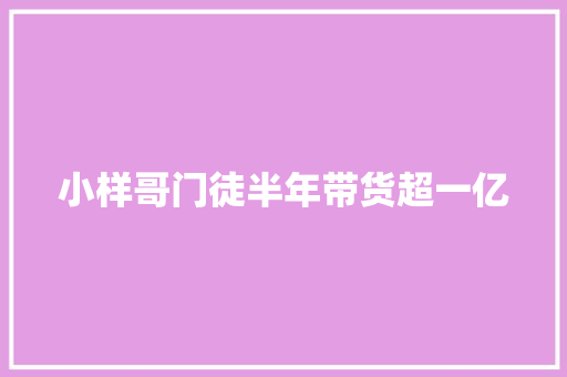 小样哥门徒半年带货超一亿