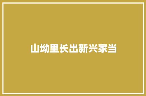 山坳里长出新兴家当