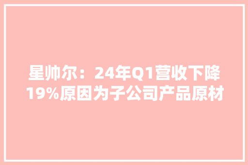 星帅尔：24年Q1营收下降19%原因为子公司产品原材料价格下降利润上升17%得益于内控加强和提前采购锁价