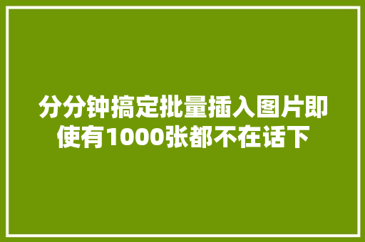 分分钟搞定批量插入图片即使有1000张都不在话下