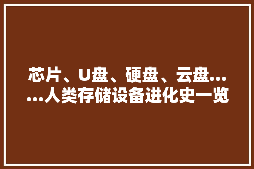 芯片、U盘、硬盘、云盘……人类存储设备进化史一览