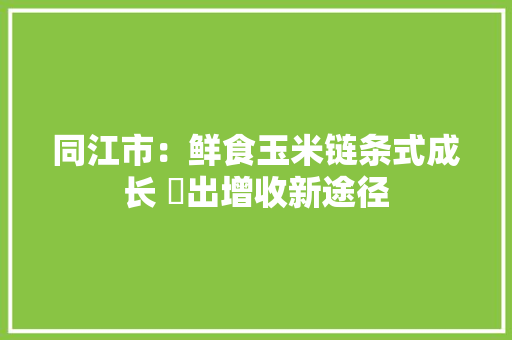 同江市：鲜食玉米链条式成长 蹚出增收新途径