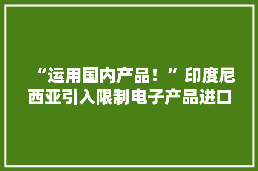 “运用国内产品！”印度尼西亚引入限制电子产品进口的新规定 “运用国内产品！”印度尼西亚引入限制电子产品进口的新规定 人工智能