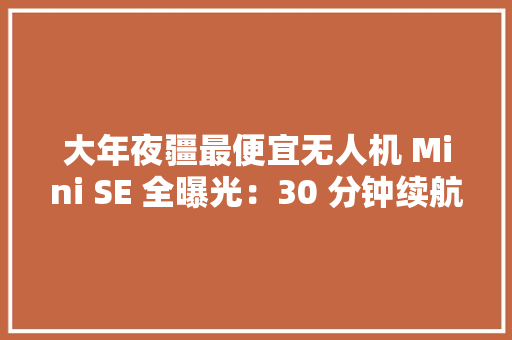 大年夜疆最便宜无人机 Mini SE 全曝光：30 分钟续航售价 299 美元