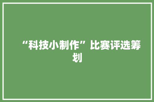 “科技小制作”比赛评选筹划