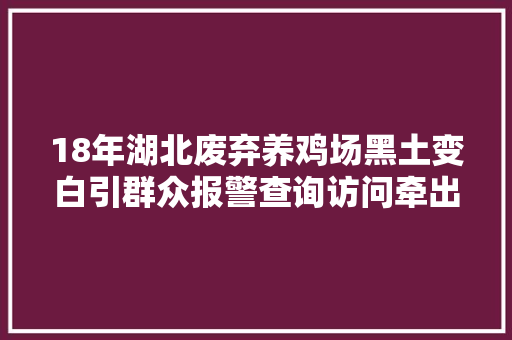 18年湖北废弃养鸡场黑土变白引群众报警查询访问牵出两亿惊天案